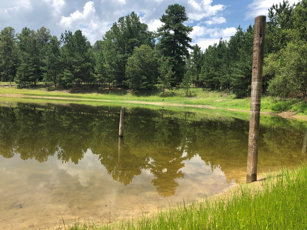 201 Kipling Road Aiken, SC 29805 - Photo 19 of 68
