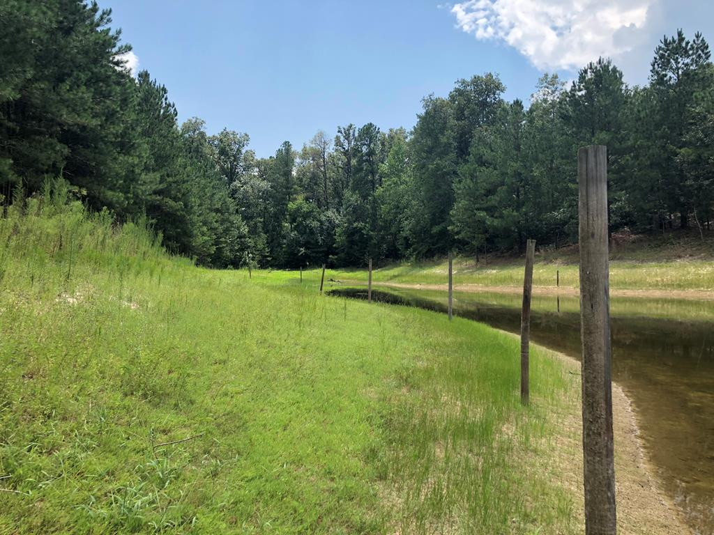 201 Kipling Road Aiken, SC 29805 - Photo 20 of 68