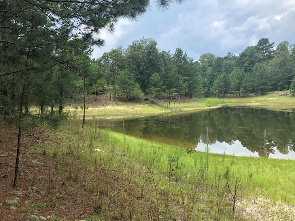 201 Kipling Road Aiken, SC 29805 - Photo 22 of 68