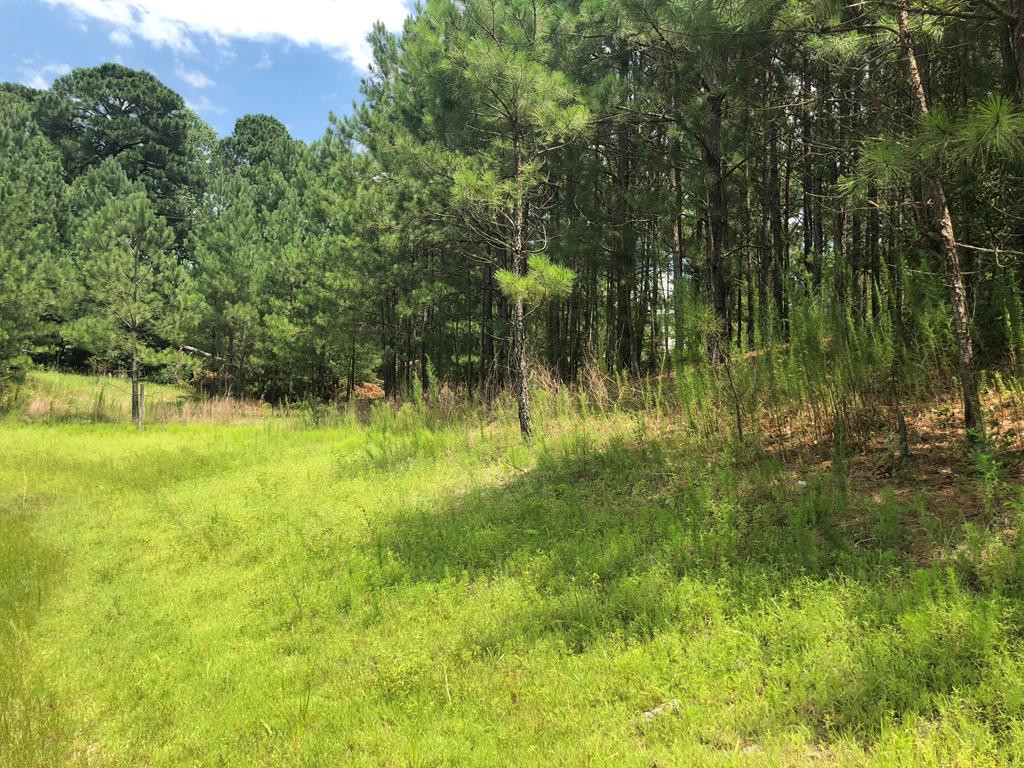 201 Kipling Road Aiken, SC 29805 - Photo 24 of 68