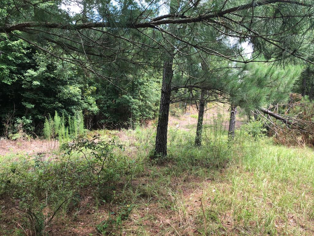 201 Kipling Road Aiken, SC 29805 - Photo 29 of 68