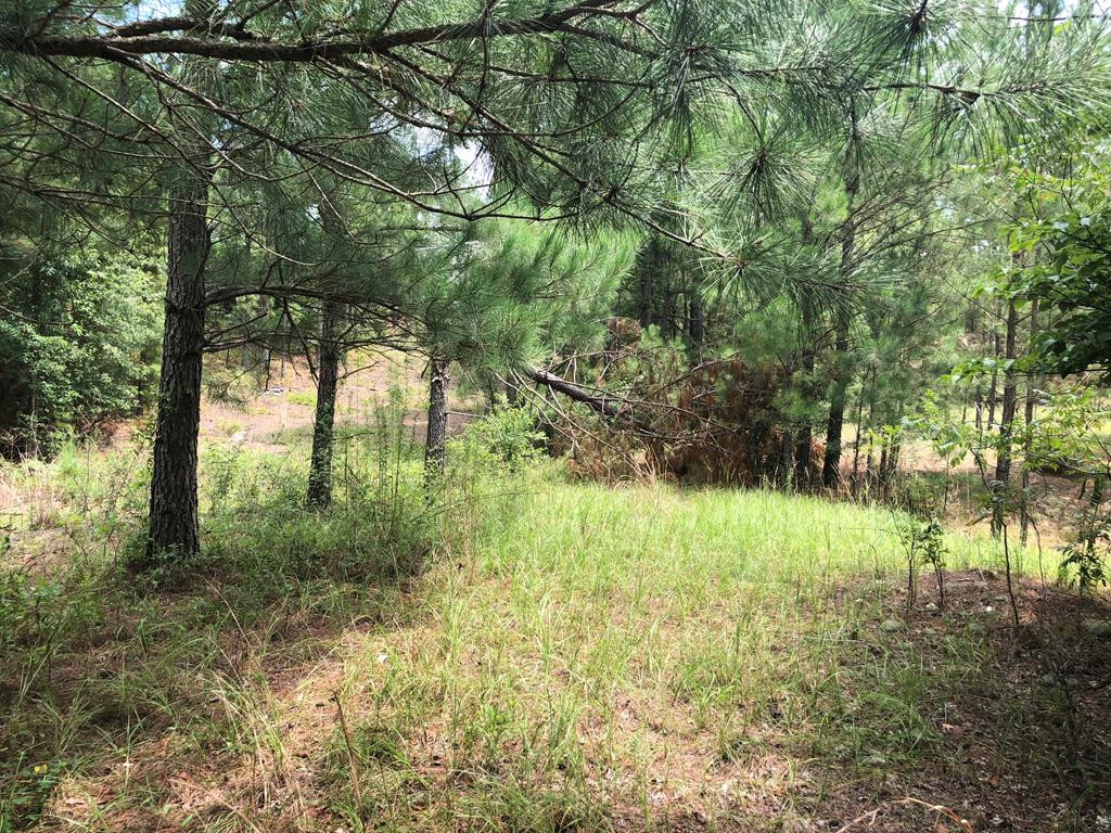 201 Kipling Road Aiken, SC 29805 - Photo 30 of 68