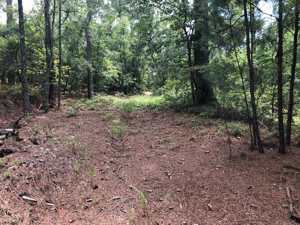 201 Kipling Road Aiken, SC 29805 - Photo 3 of 68