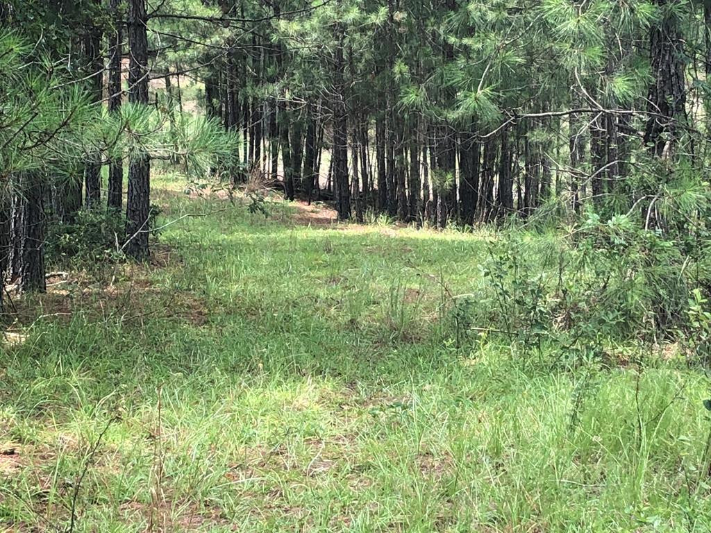 201 Kipling Road Aiken, SC 29805 - Photo 35 of 68