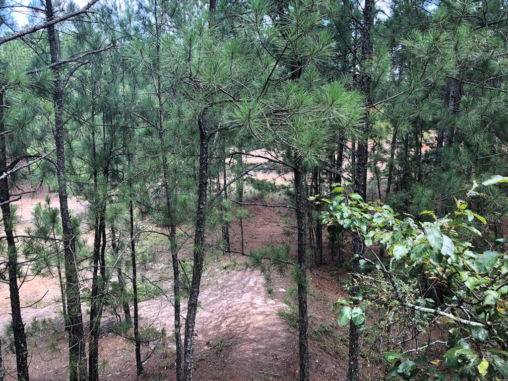 201 Kipling Road Aiken, SC 29805 - Photo 54 of 68