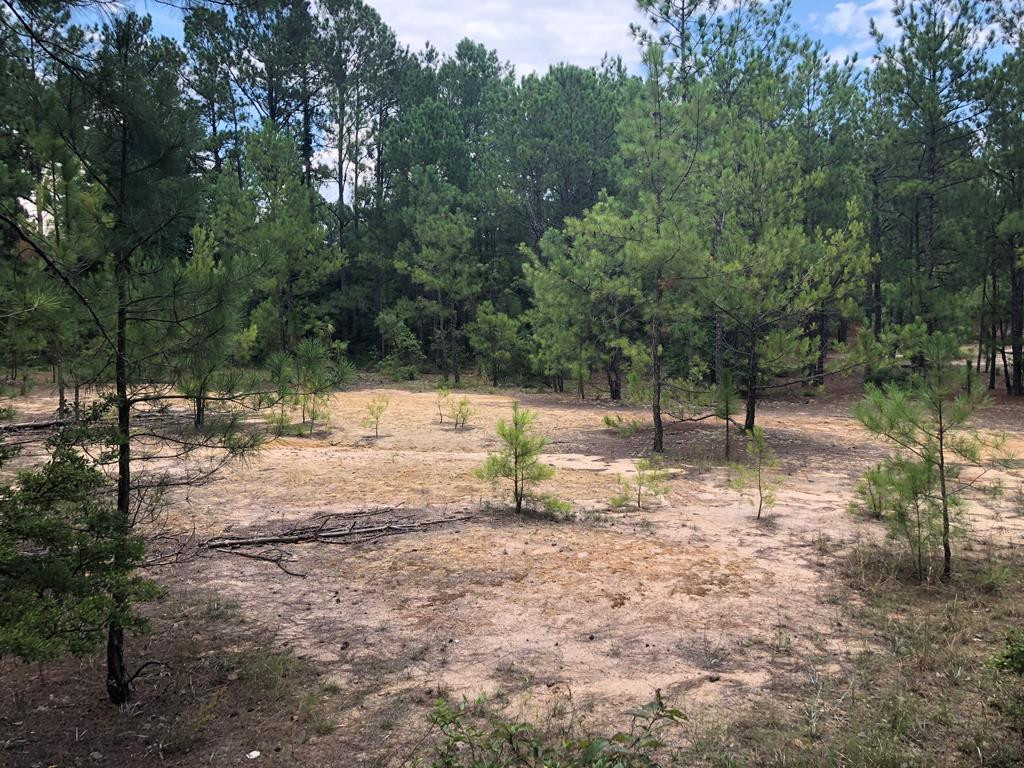 201 Kipling Road Aiken, SC 29805 - Photo 56 of 68
