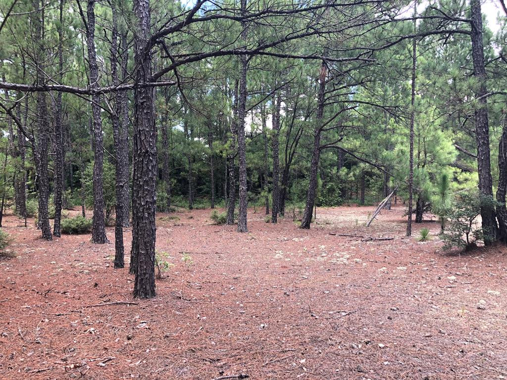 201 Kipling Road Aiken, SC 29805 - Photo 59 of 68