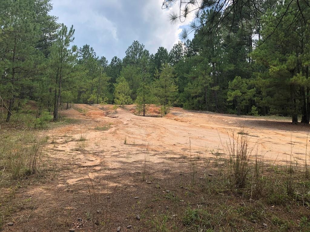 201 Kipling Road Aiken, SC 29805 - Photo 60 of 68