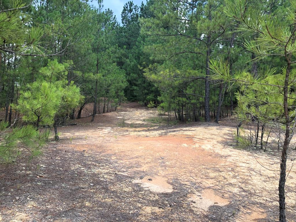 201 Kipling Road Aiken, SC 29805 - Photo 63 of 68