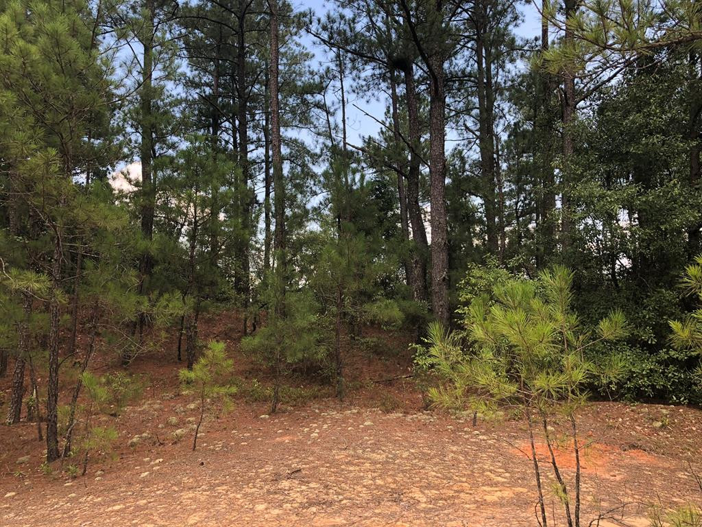 201 Kipling Road Aiken, SC 29805 - Photo 64 of 68