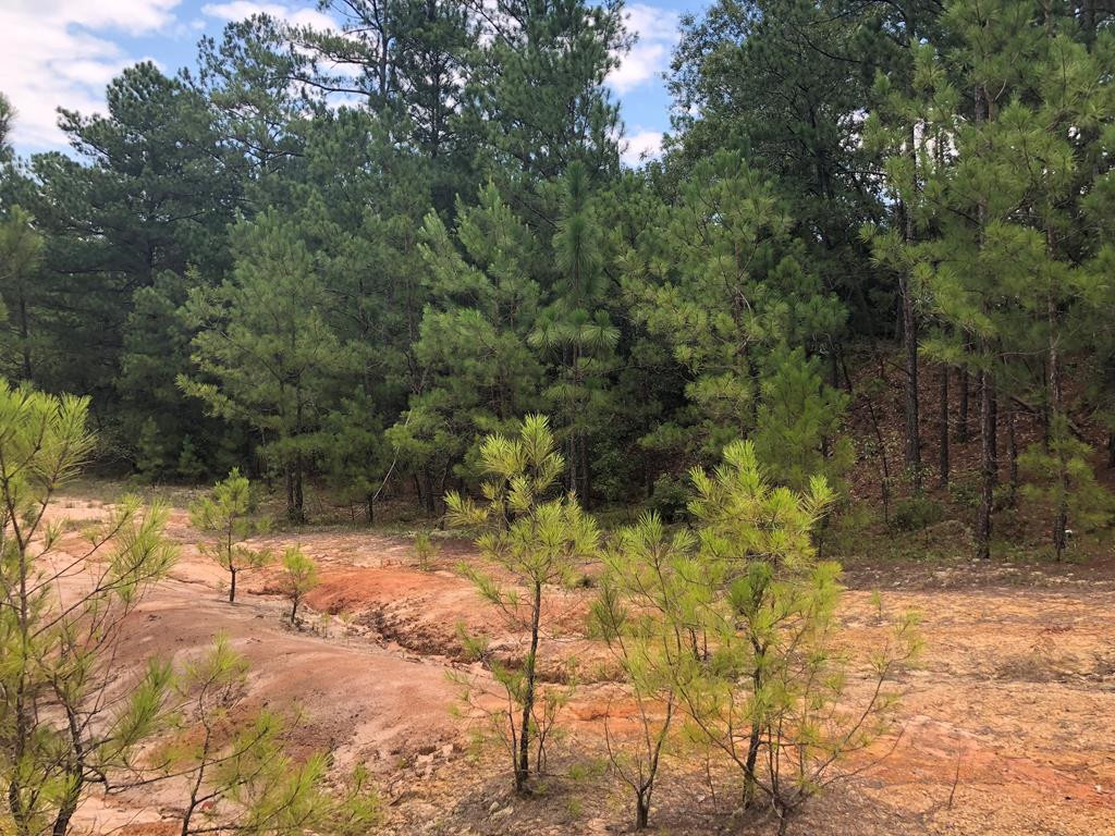 201 Kipling Road Aiken, SC 29805 - Photo 68 of 68