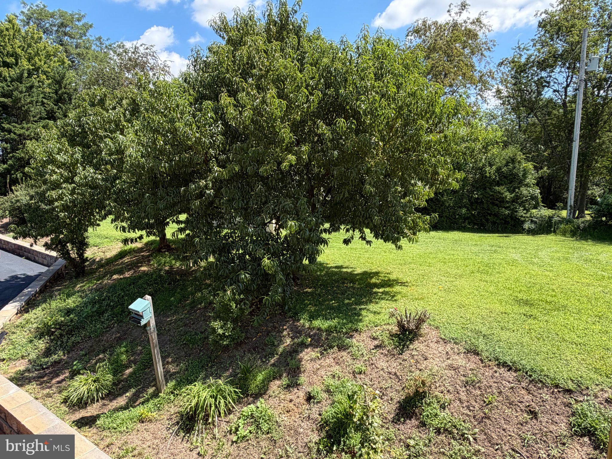 3150 Apple Pie Ridge Road Winchester, VA 22603 - Photo 23 of 70 Gallery Image 23