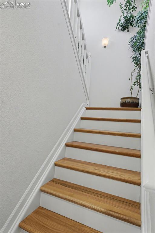 17063 Blue Mist Grove Monument, CO 80132 - Photo 10 of 33 a view of entryway