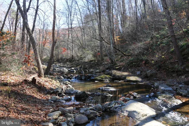 a view of backyard with green space