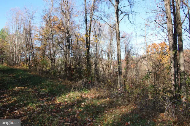 a view of small yard