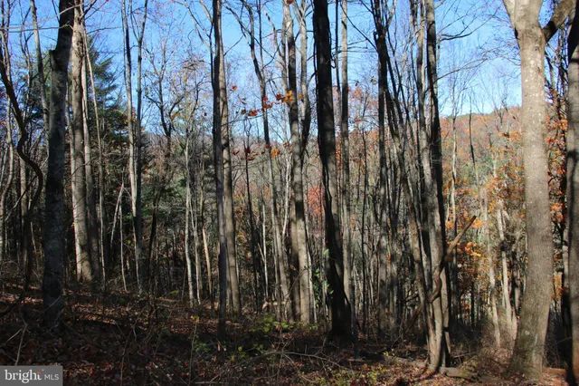 a view of backyard of house