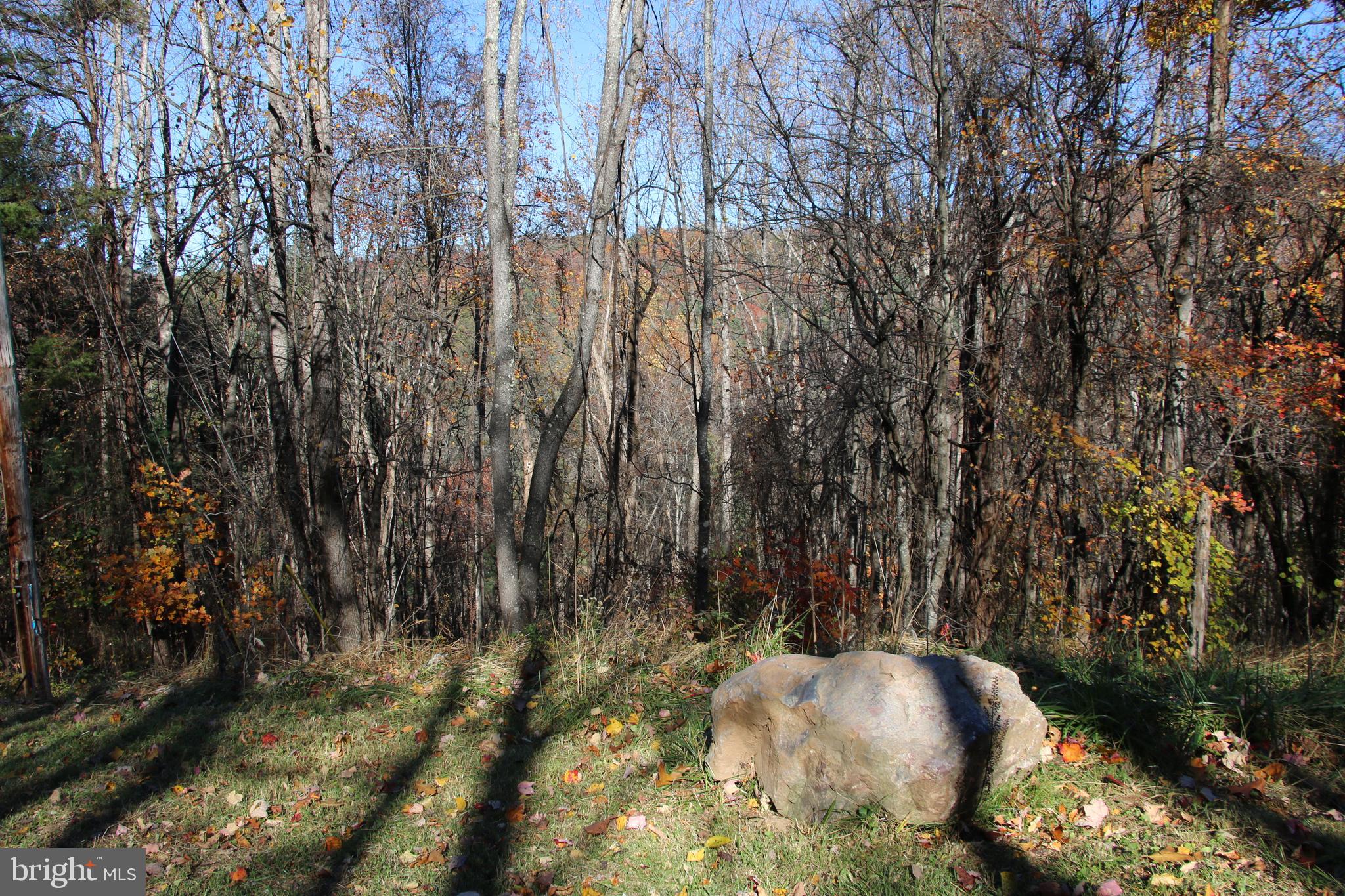 Overlook Mountain Road Elkton, VA 22827 - Photo 19 of 23 a view of backyard of house