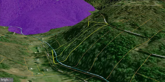 a view of a mirror and potted plants