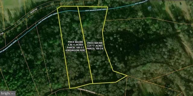 a green field with lots of flowers