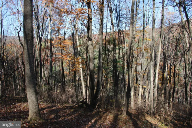 a view of a yard with trees