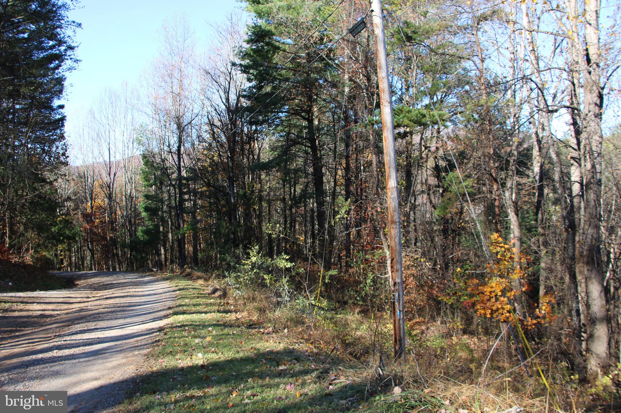 Overlook Mountain Road Elkton, VA 22827 - Photo 5 of 23 a view of outdoor space and yard