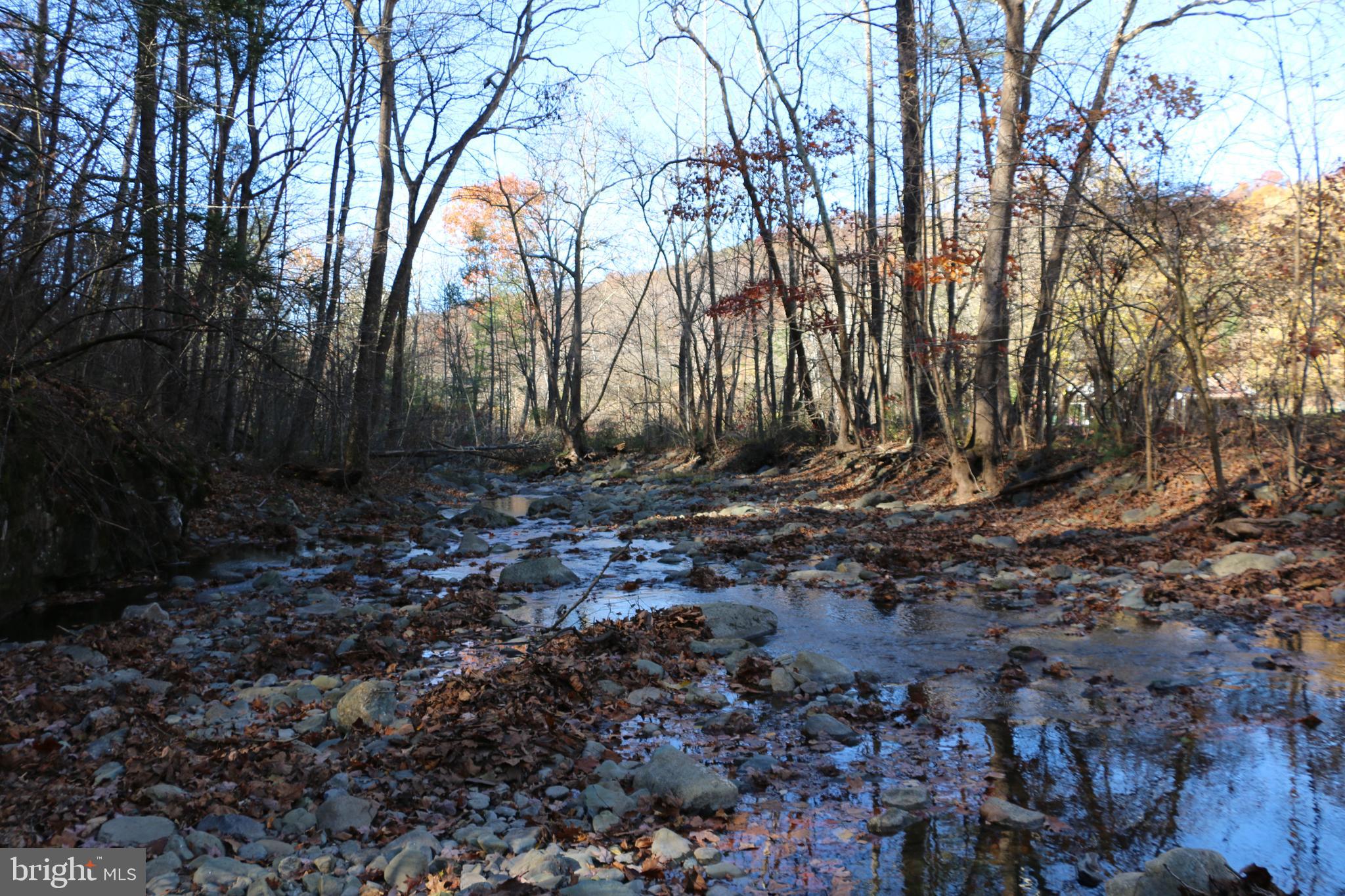 Overlook Mountain Road Elkton, VA 22827 - Photo 8 of 23 a view of outdoor space with trees
