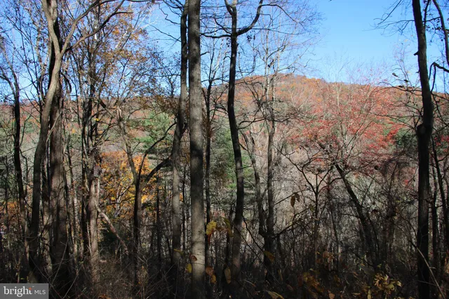 a view of tree in front of a house