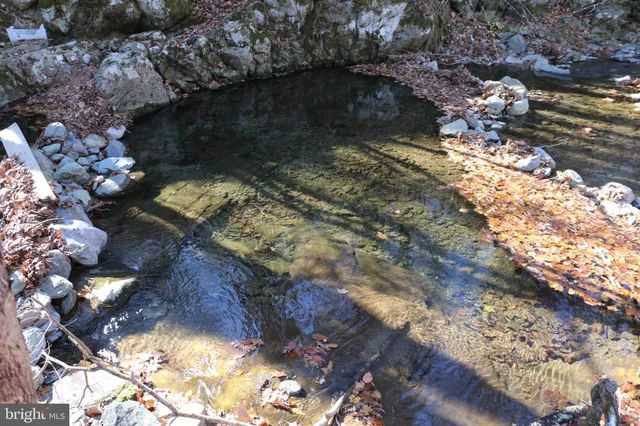 a view of backyard with green space