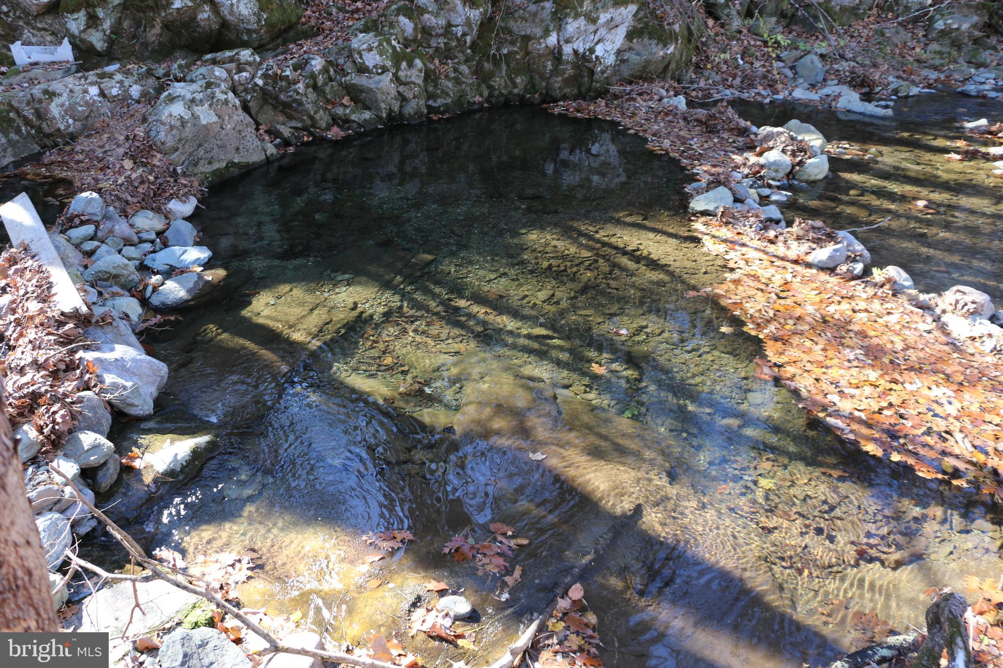 Overlook Mountain Road Elkton, VA 22827 - Photo 10 of 23