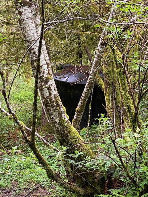 109 Trask River Road Tillamook, OR 97141 - Photo 16 of 21 IMG_7992
