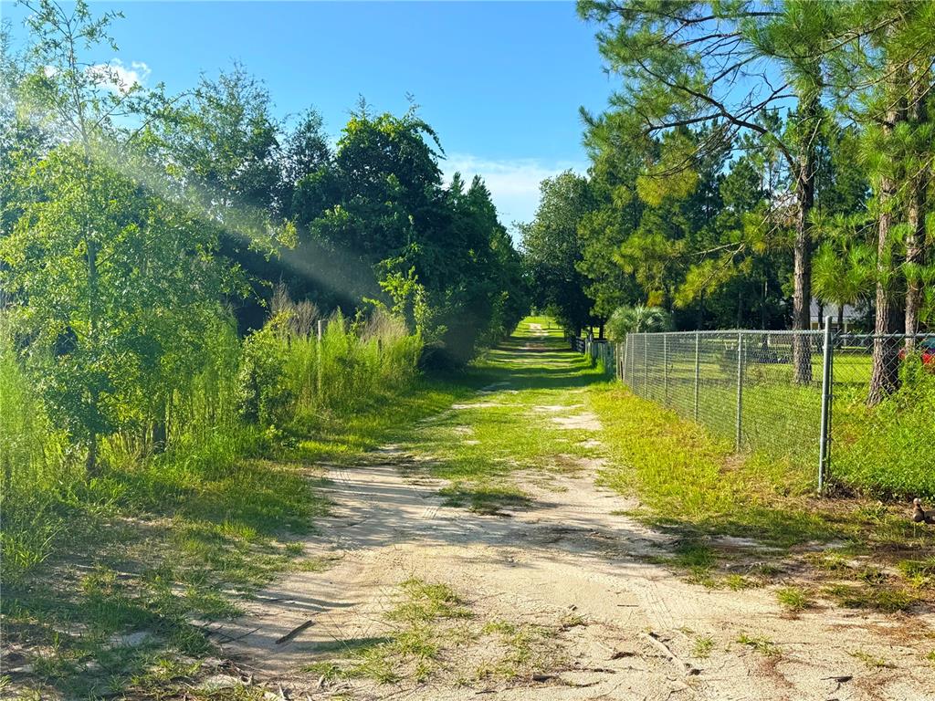 259 South E Rattler Court High Springs, FL 32643 - Photo 15 of 15