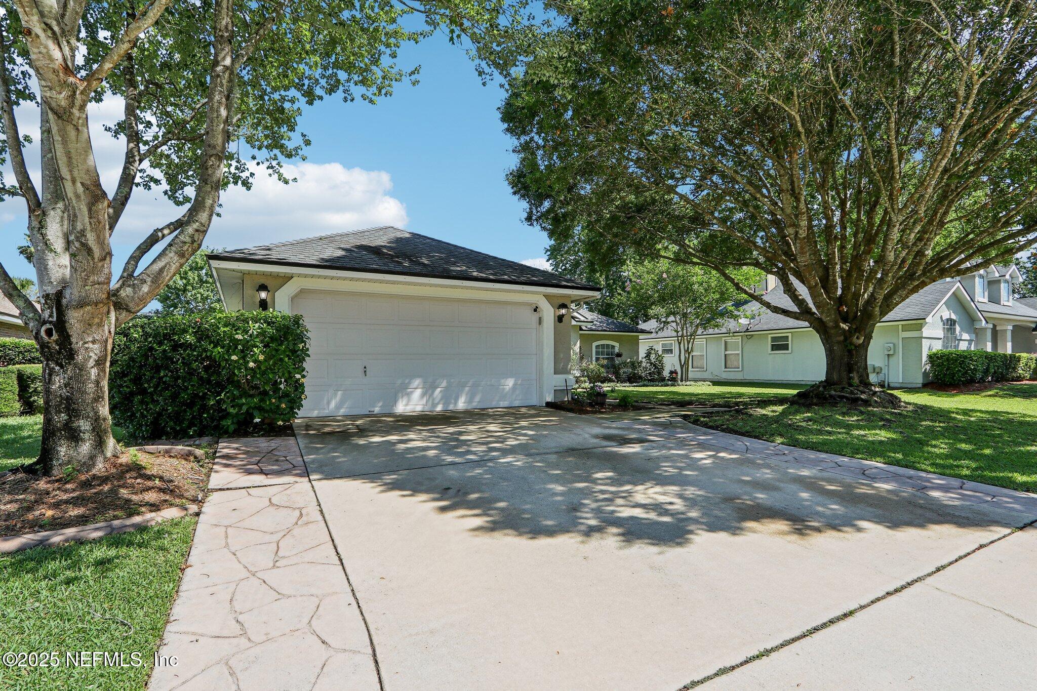 a view of a yard with a house and a large tree