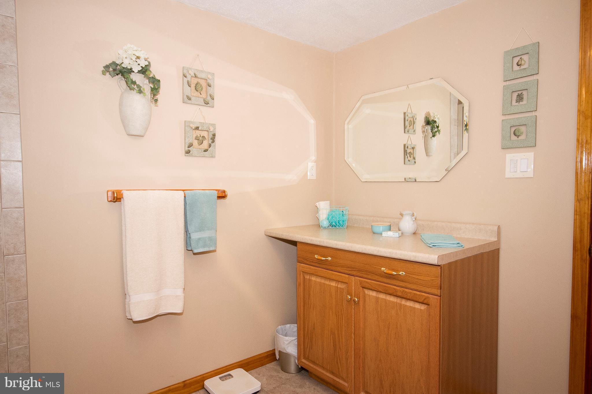 13109 Choptank Road Baltimore, MD 21220 - Photo 22 of 25 Second Bath