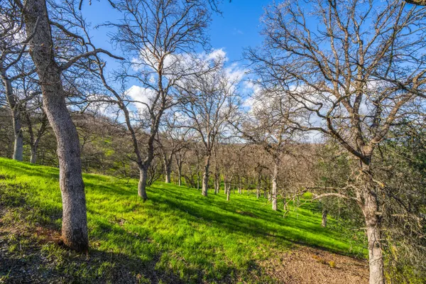 $80,000 | 21300 Meadowgate Drive, Red Bluff, CA 96080