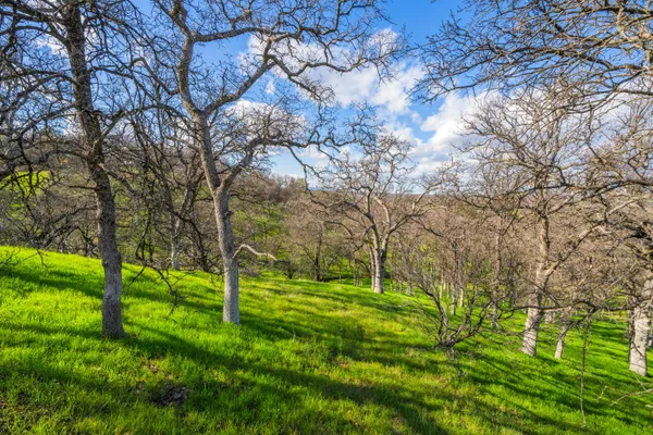 $80,000 | 21300 Meadowgate Drive, Red Bluff, CA 96080