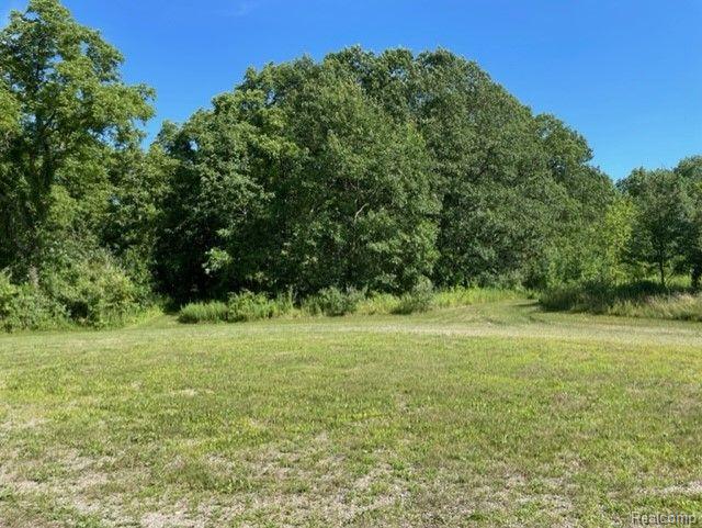 0 Autumn Ridge East Northville, MI 48167 - Photo 4 of 7 Field