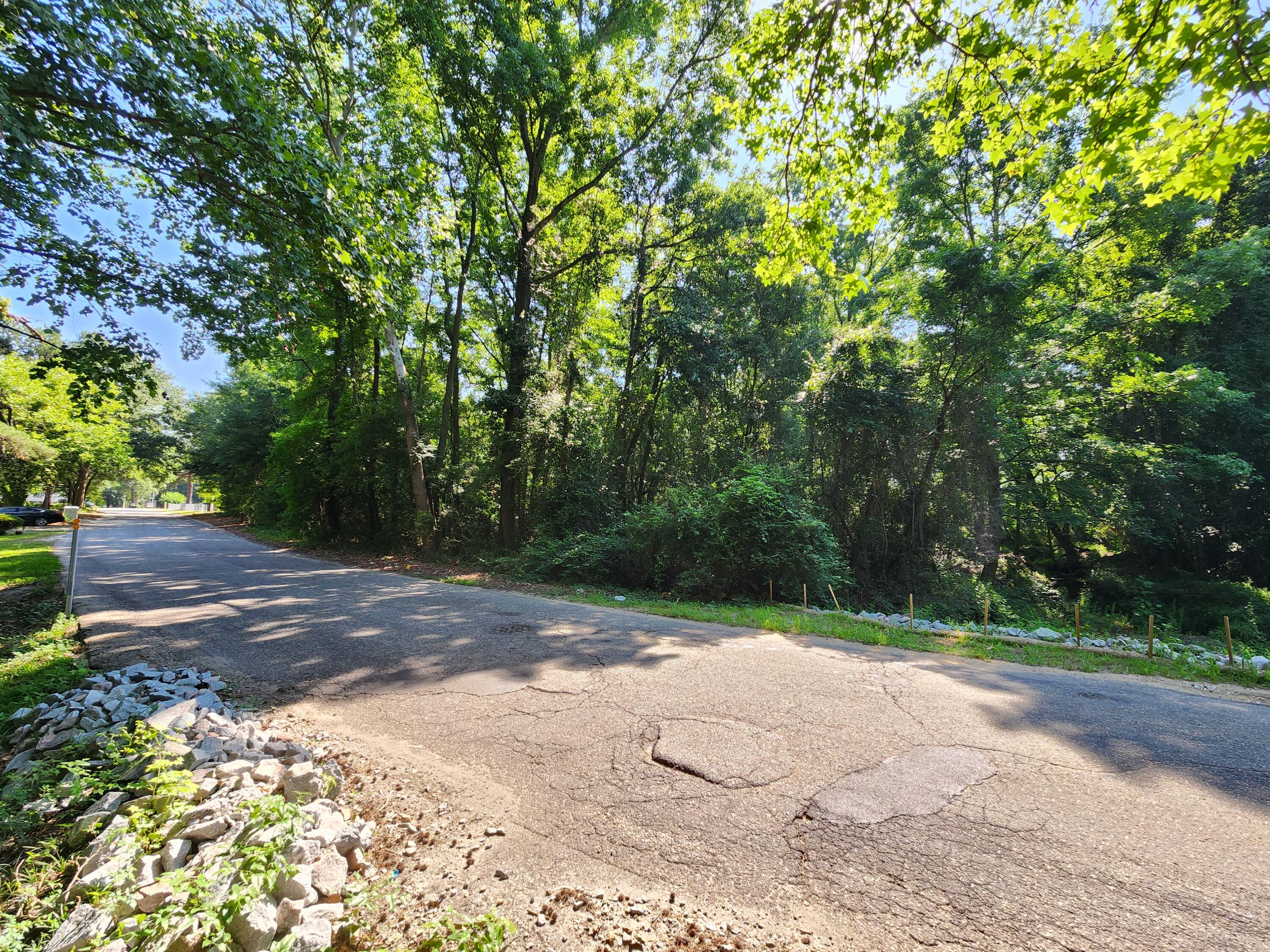 Tbd Community Street Sumter, SC 29150 - Photo 2 of 6