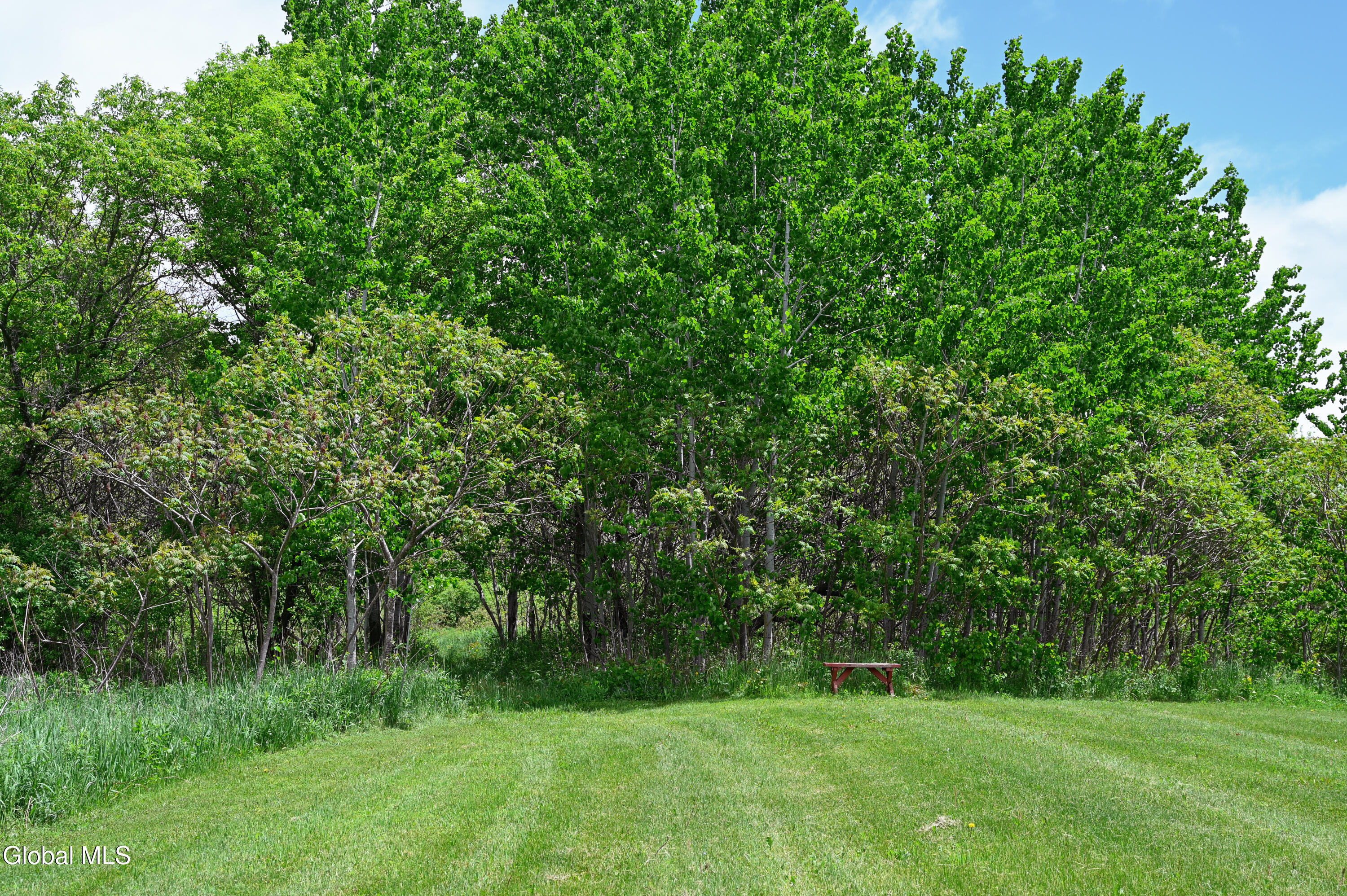 144 Maple Bush Road Cobleskill, NY 12043 - Photo 65 of 83 DSC_7250
