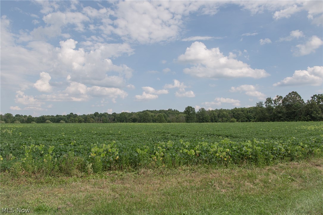 10560 Crawford Road Homerville, OH 44235 - Photo 8 of 27 Gallery Image 8
