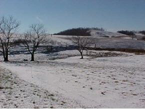 250 Charles Humphreys Road Limestone, TN 37681 - Photo 5 of 5 Photo 5