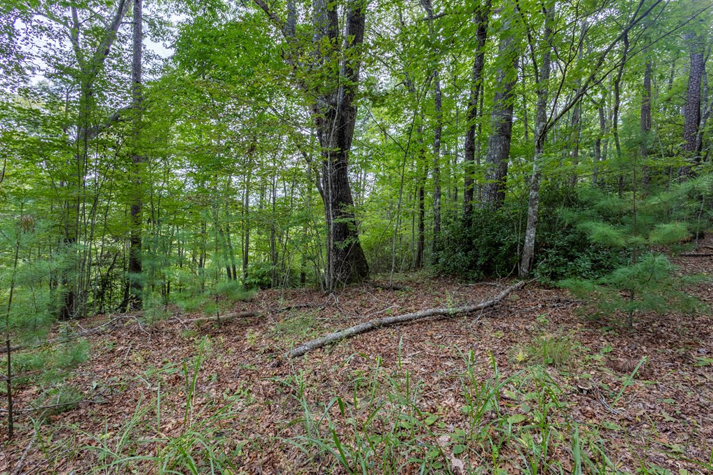 Lot 26 Persimmon Hts Road Murphy, NC 28906 - Photo 8 of 9