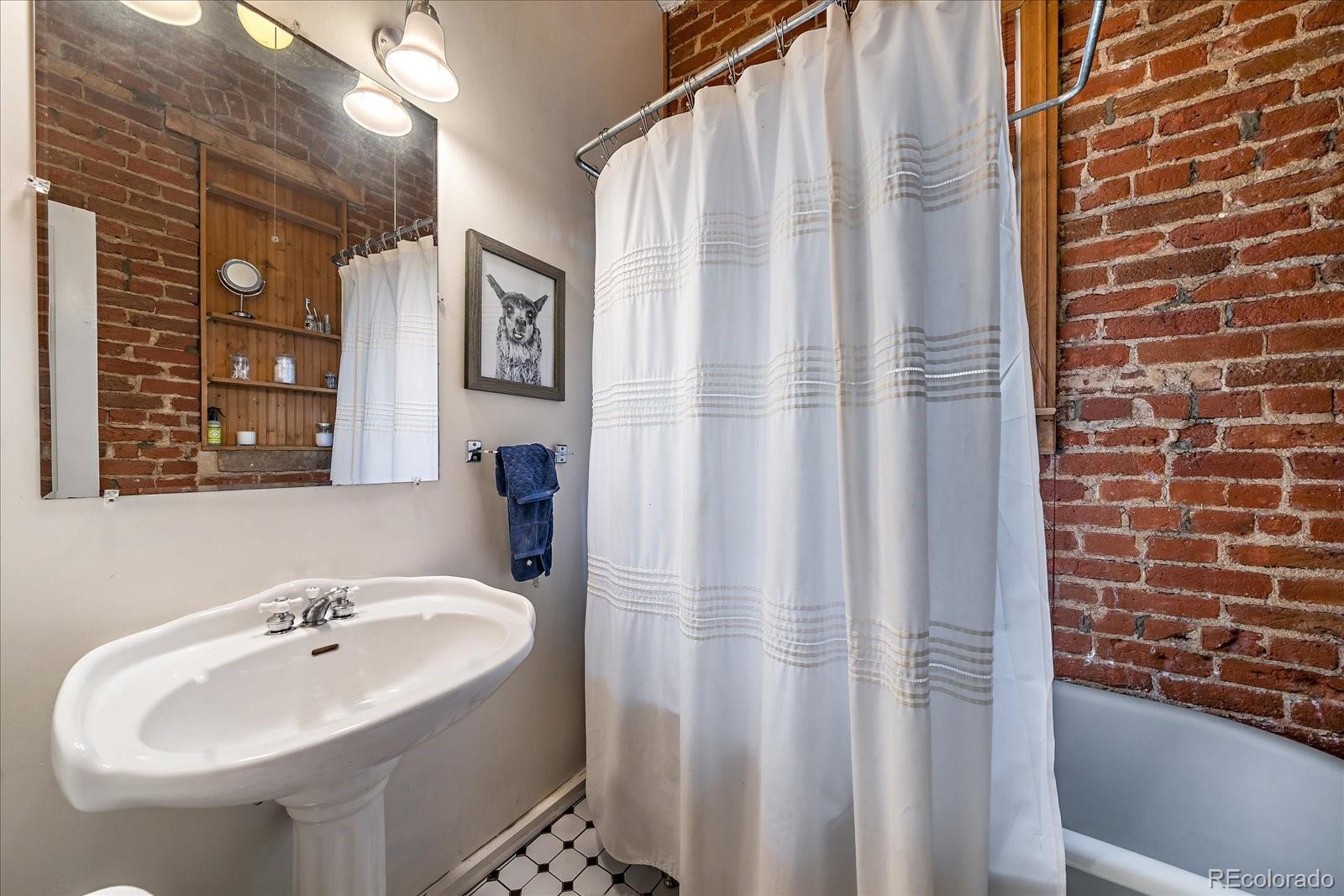 1776 South Logan Street Denver, CO 80210 - Photo 14 of 21 a bathroom with a sink and a mirror