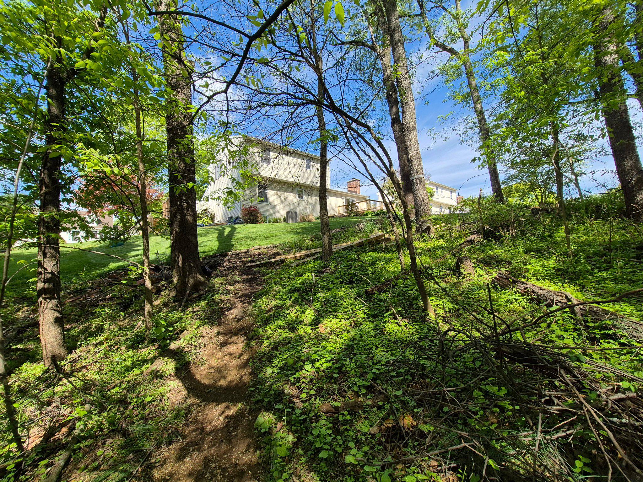 1406 Princeton Road Mechanicsburg, PA 17050 - Photo 13 of 53 a view of yard with green space