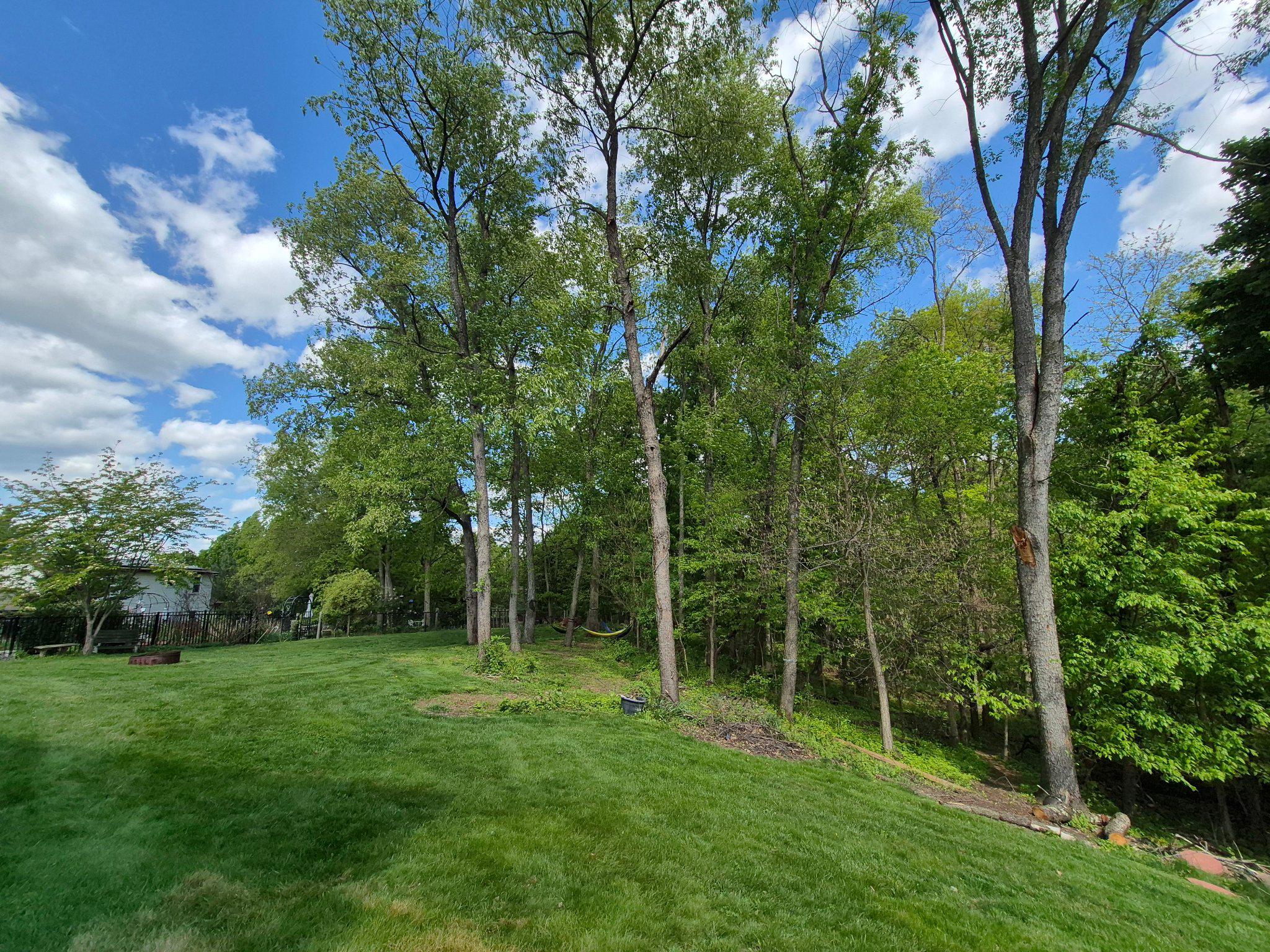 1406 Princeton Road Mechanicsburg, PA 17050 - Photo 49 of 53 a view of a backyard with a garden