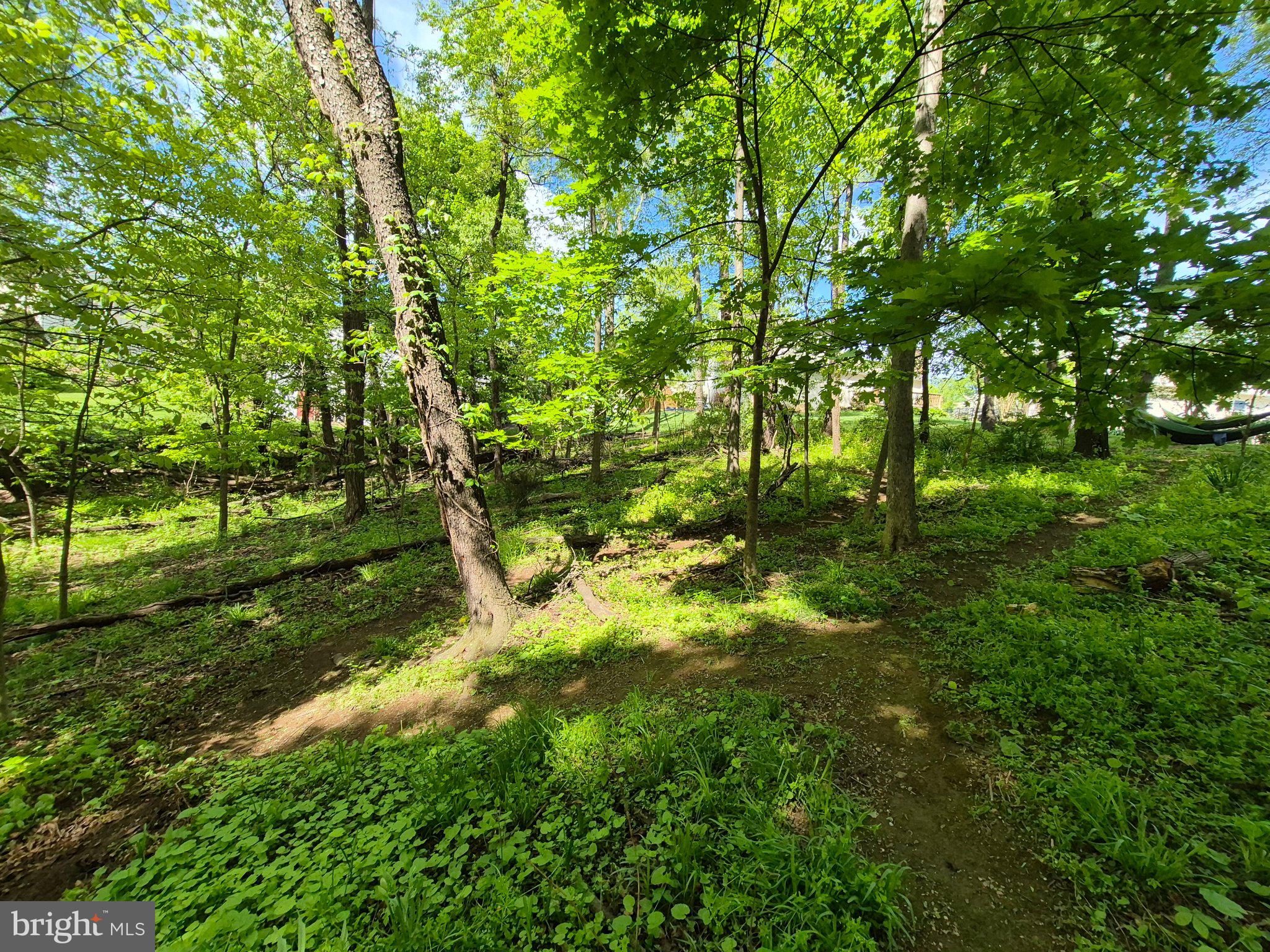 1406 Princeton Road Mechanicsburg, PA 17050 - Photo 51 of 53 Lush green woodland retreat.