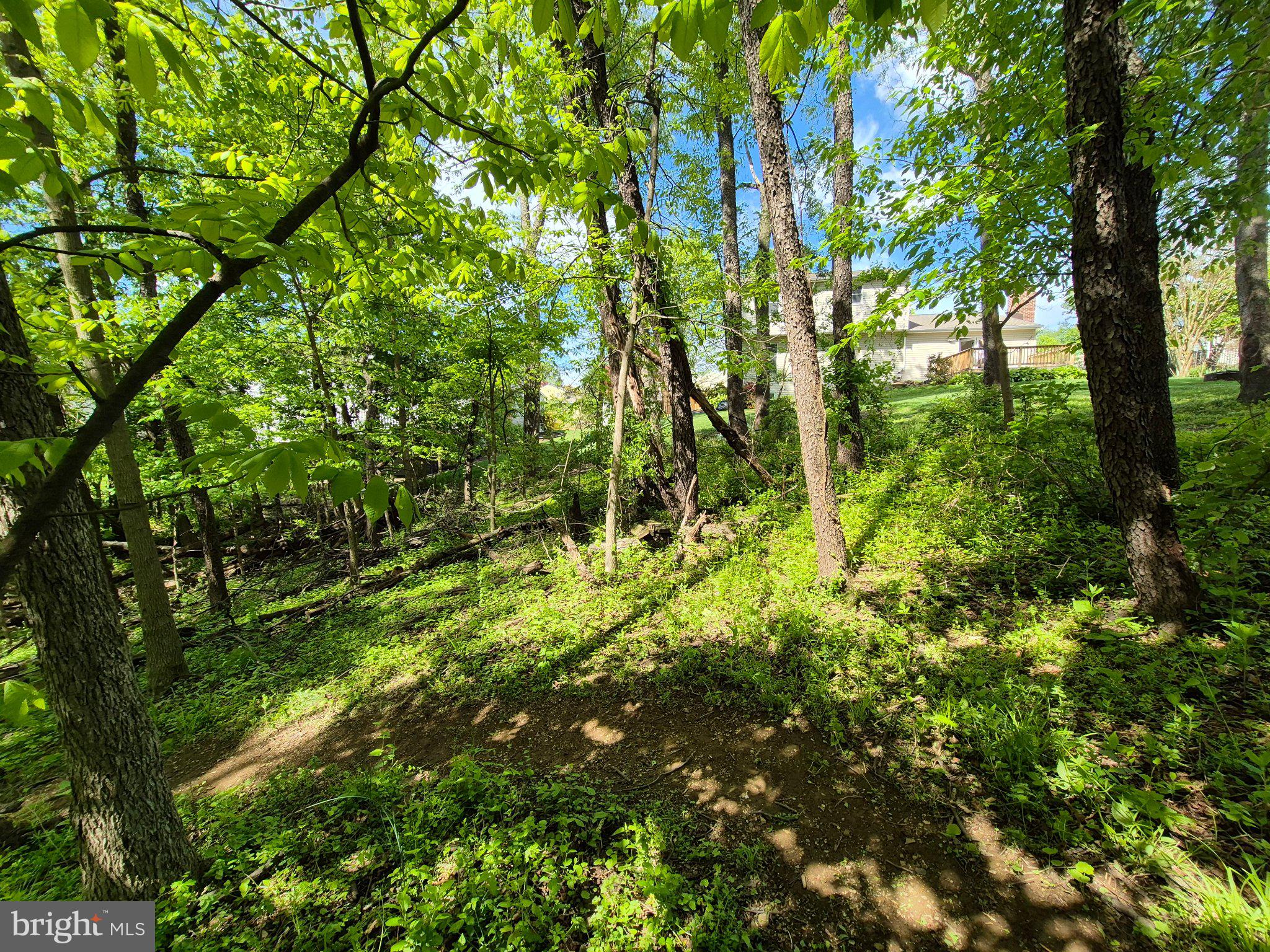 1406 Princeton Road Mechanicsburg, PA 17050 - Photo 52 of 53 a backyard of a house with lots of trees