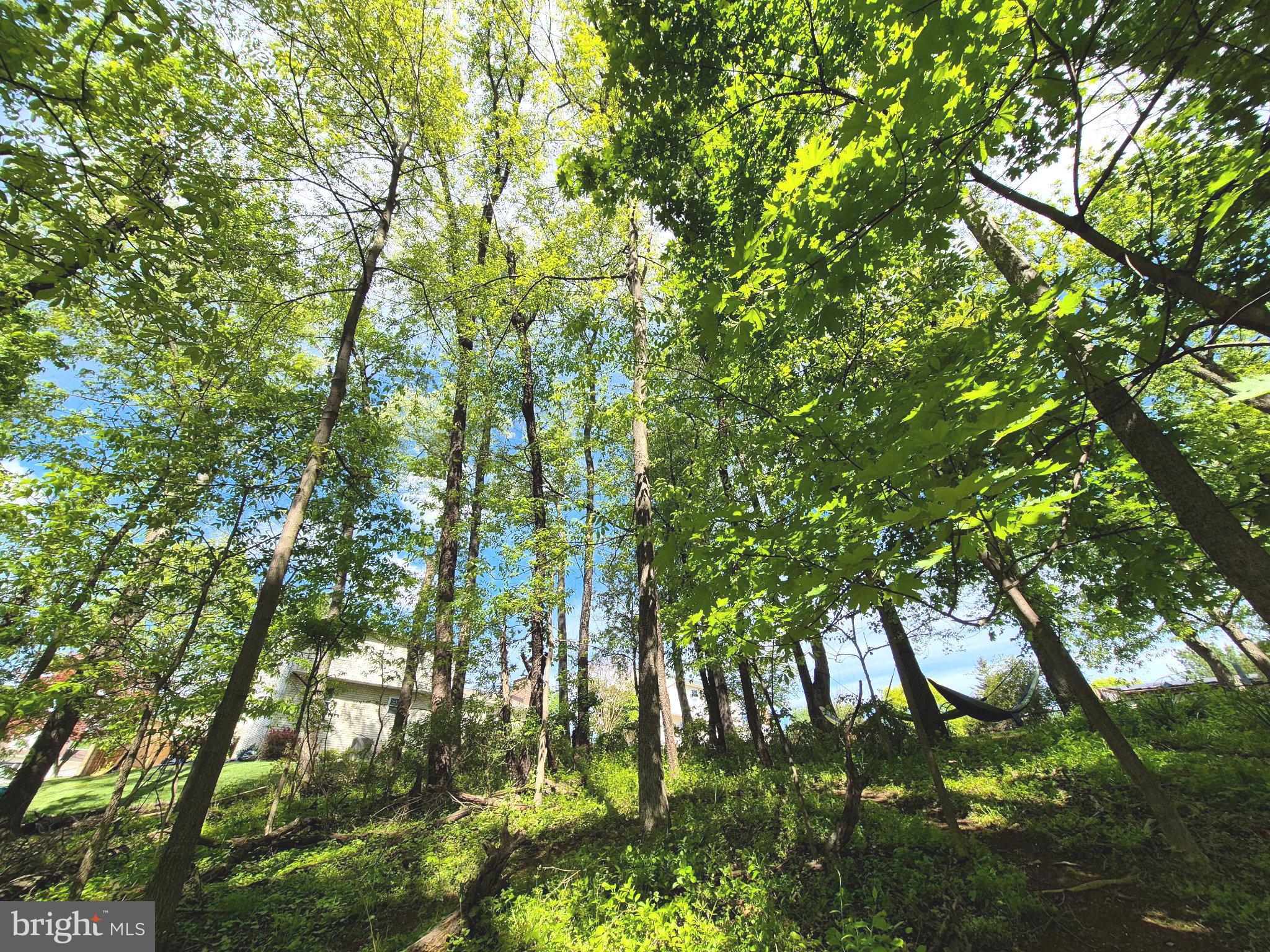 1406 Princeton Road Mechanicsburg, PA 17050 - Photo 53 of 53 a backyard of a house