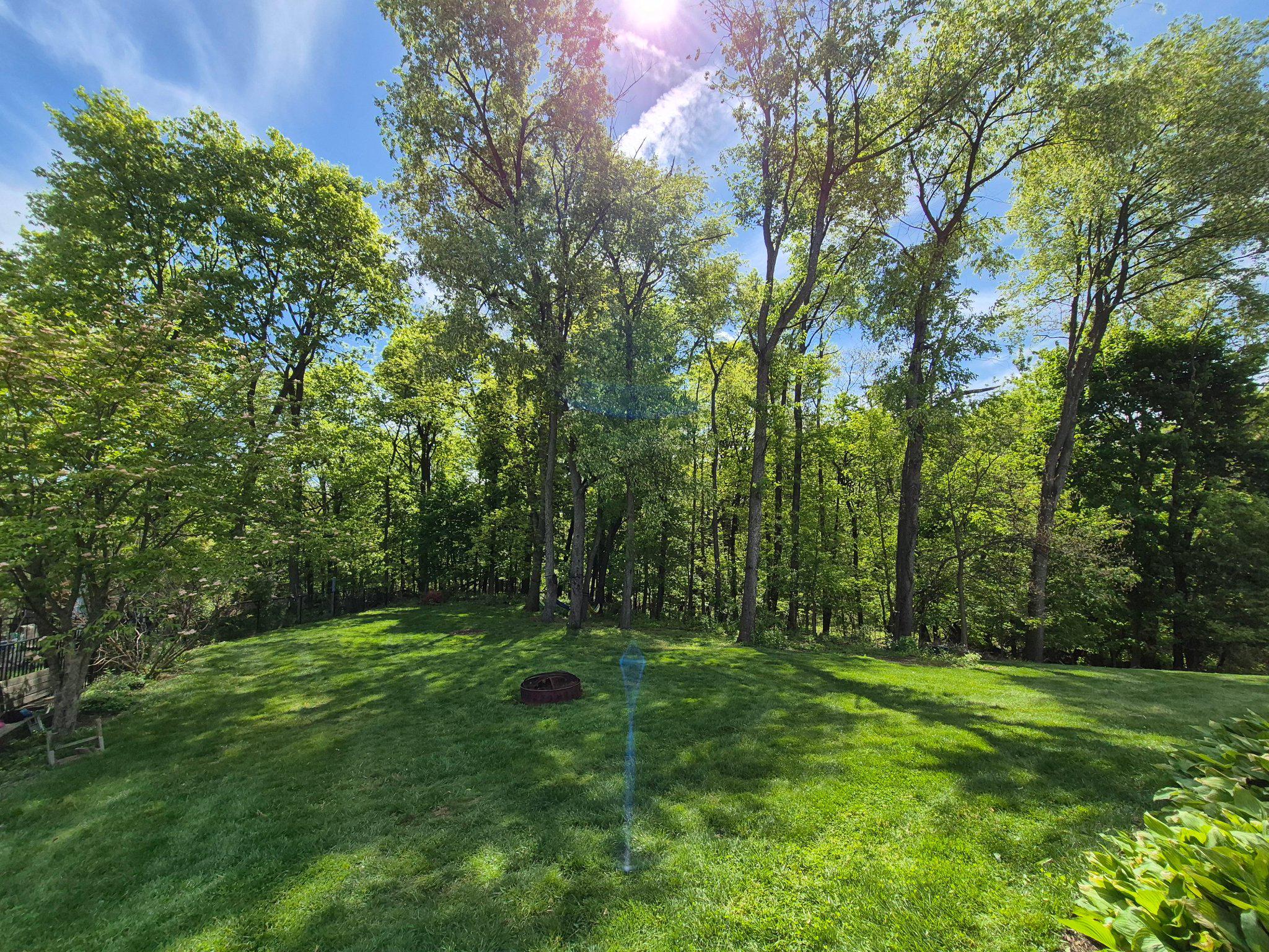 1406 Princeton Road Mechanicsburg, PA 17050 - Photo 7 of 53 a view of outdoor space with a garden