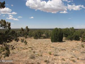 9 T14n R16e:n2 Ne4 Nw4 Heber, AZ 85928 - Photo 2 of 4 6