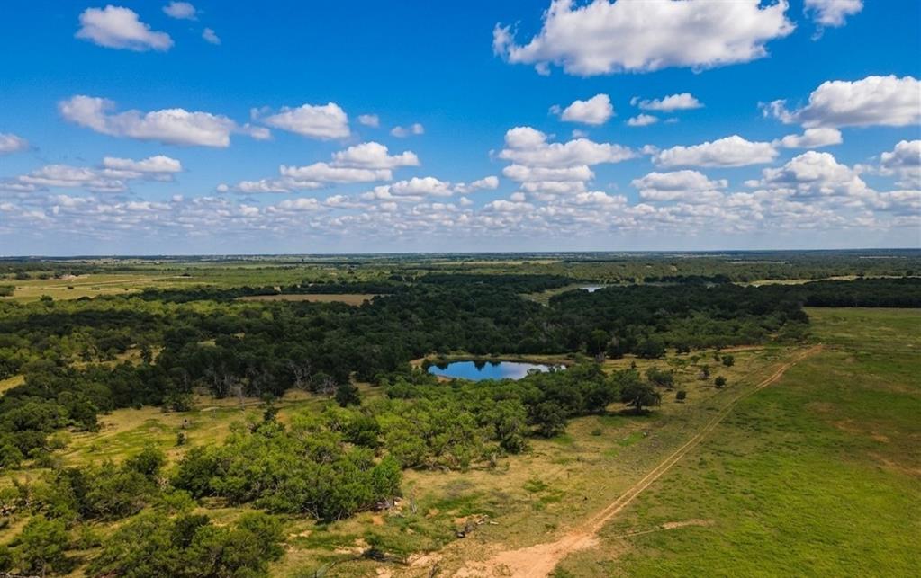 3976 Fm 1477 Comanche, TX 76442 - Photo 5 of 11 Expansive acreage featuring a natural pond, dense tree lines, open grasslands, and a visible dirt path